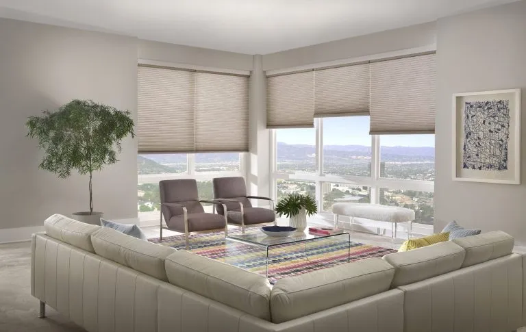 Rapid Blinds Cellular Shades 03